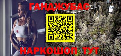 сатива Аргун