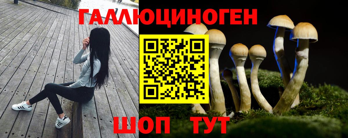 Псилоцибиновые грибы мицелий  Северобайкальск 